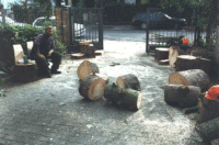 Baumschneidearbeiten